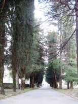 cimitero Acerno