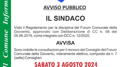 Elezioni del consiglio del forum comunale della gioventù 2024